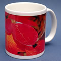 mug397 amelanchier branch 0863